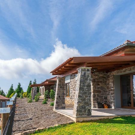 Rochao Village By Rent2U, Lda Calheta  Exteriér fotografie